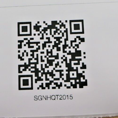 GE Profile 30" Smart Built-In Double Electric Convection Wall Oven, PTD7000SNSS